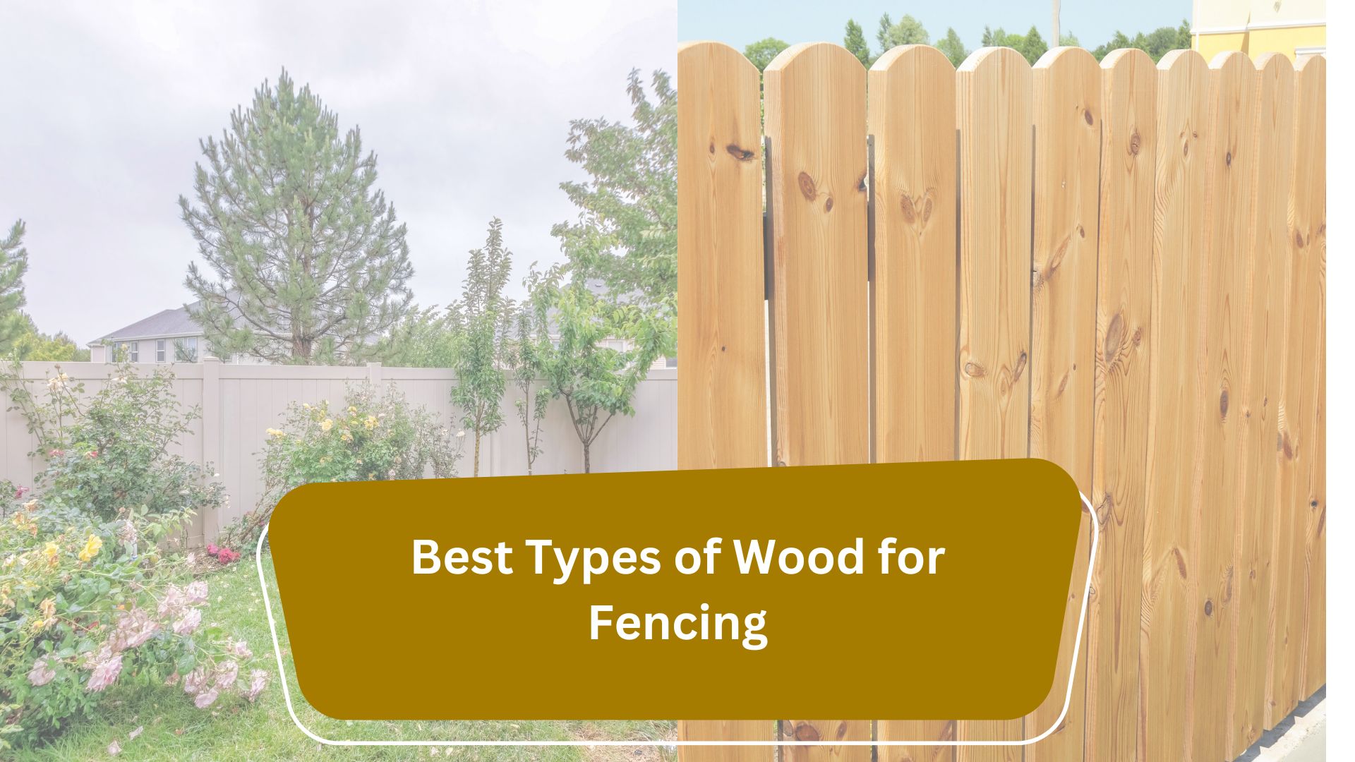 Best Types of Wood for Fencing