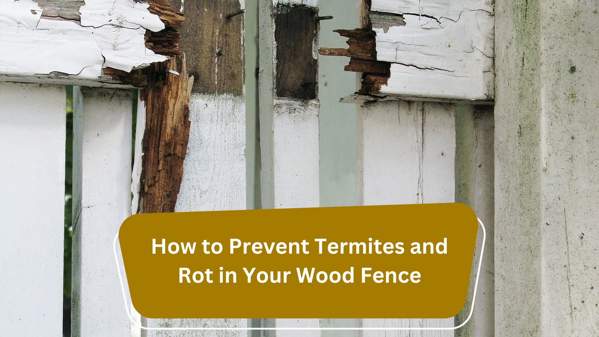 How to Prevent Termites and Rot in Your Wood Fence